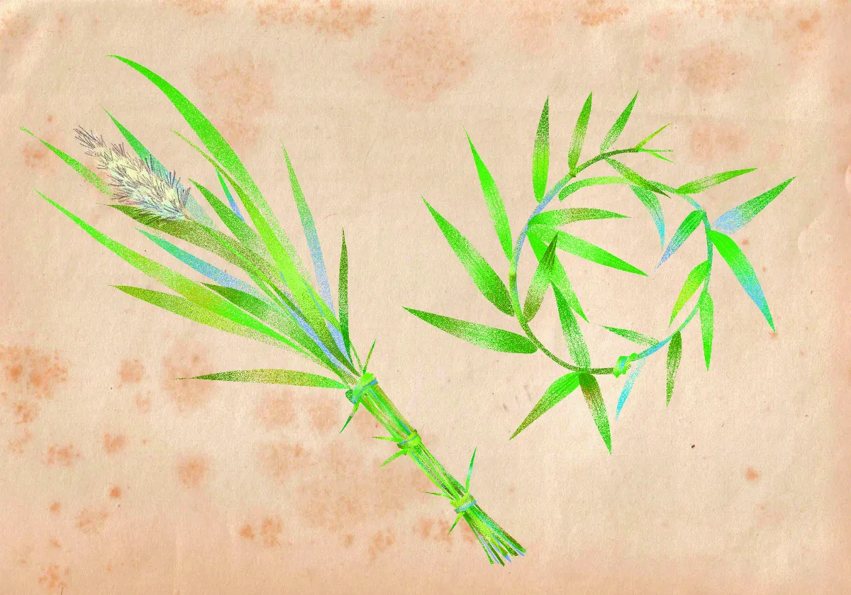 原民說故事 趕走病魔的撒力鳳 上