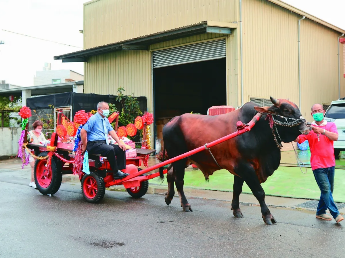 一牛車畢業禮物   校長宅配學生家