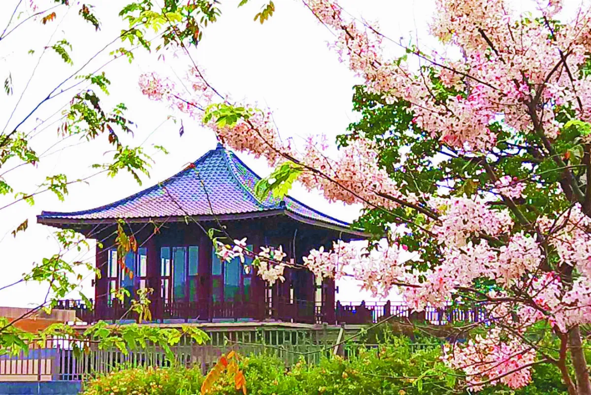 生命畫語 不即不離