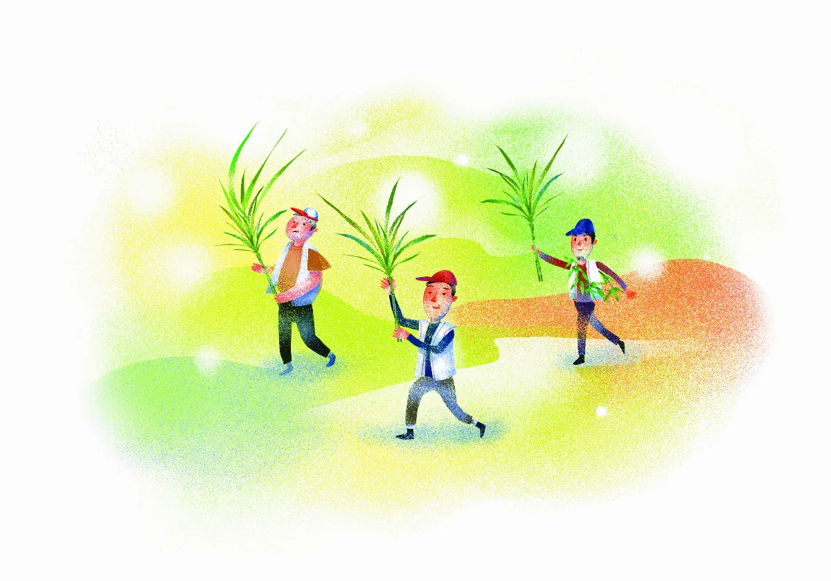 原民說故事 趕走病魔的撒力鳳 下