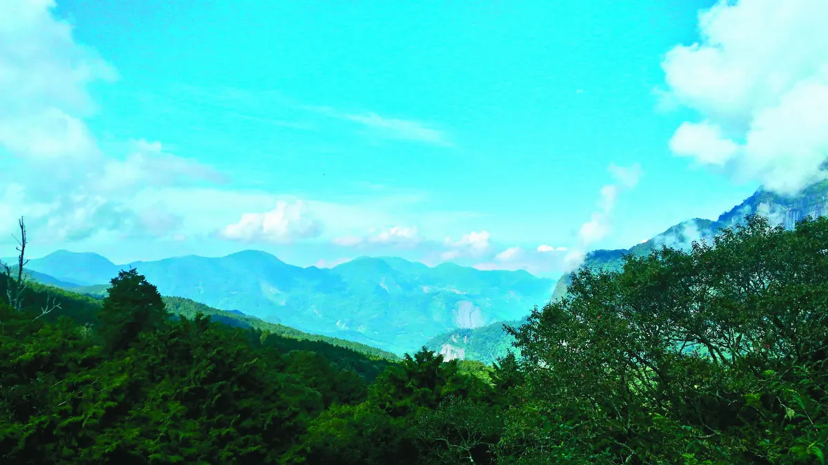 海闊天空 徜徉大自然走進山林步道