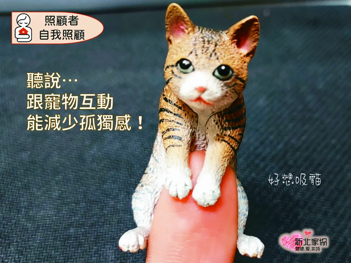 社工線上疏導 穩定照顧者身心