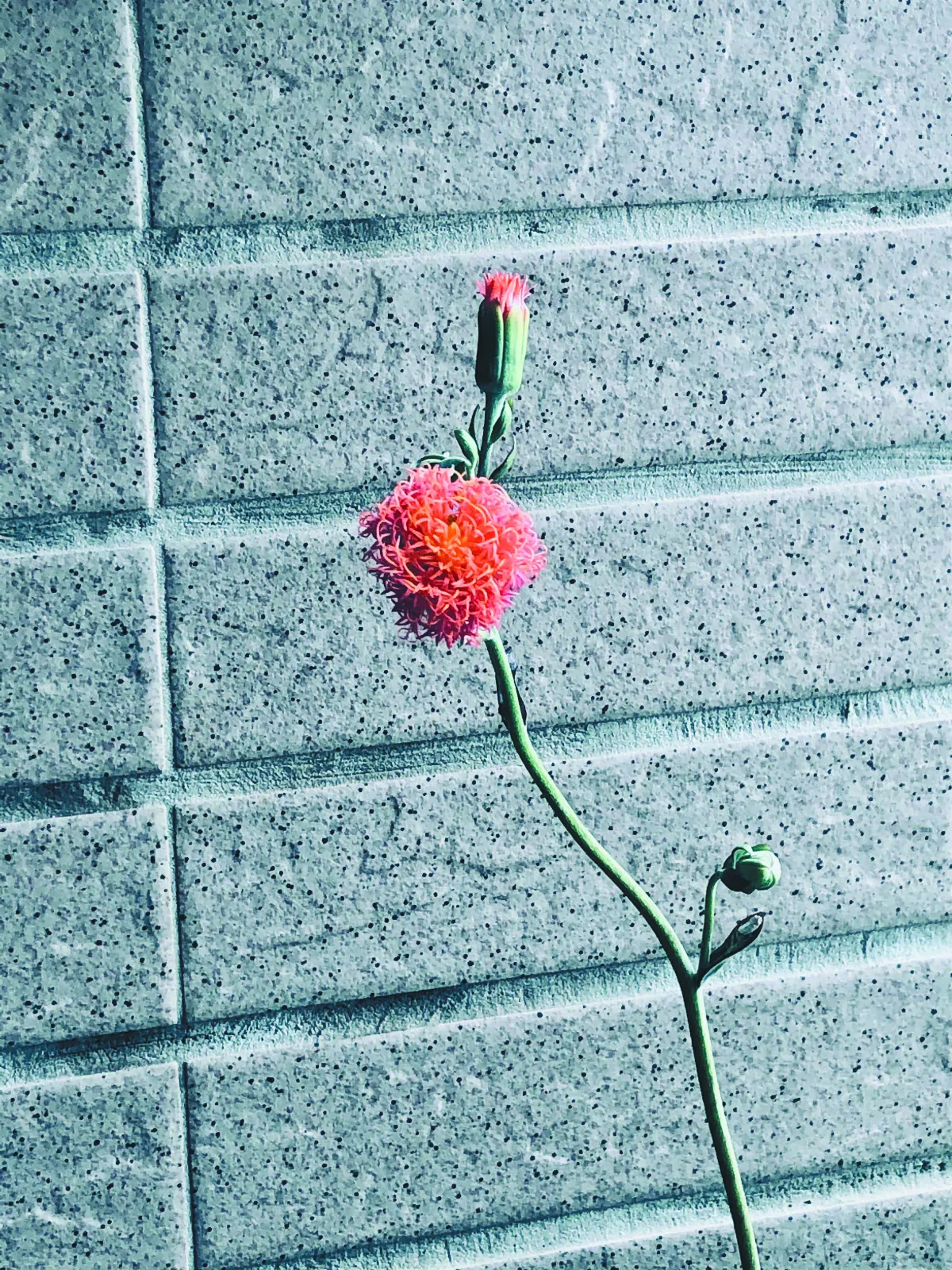 把世界倒過來看