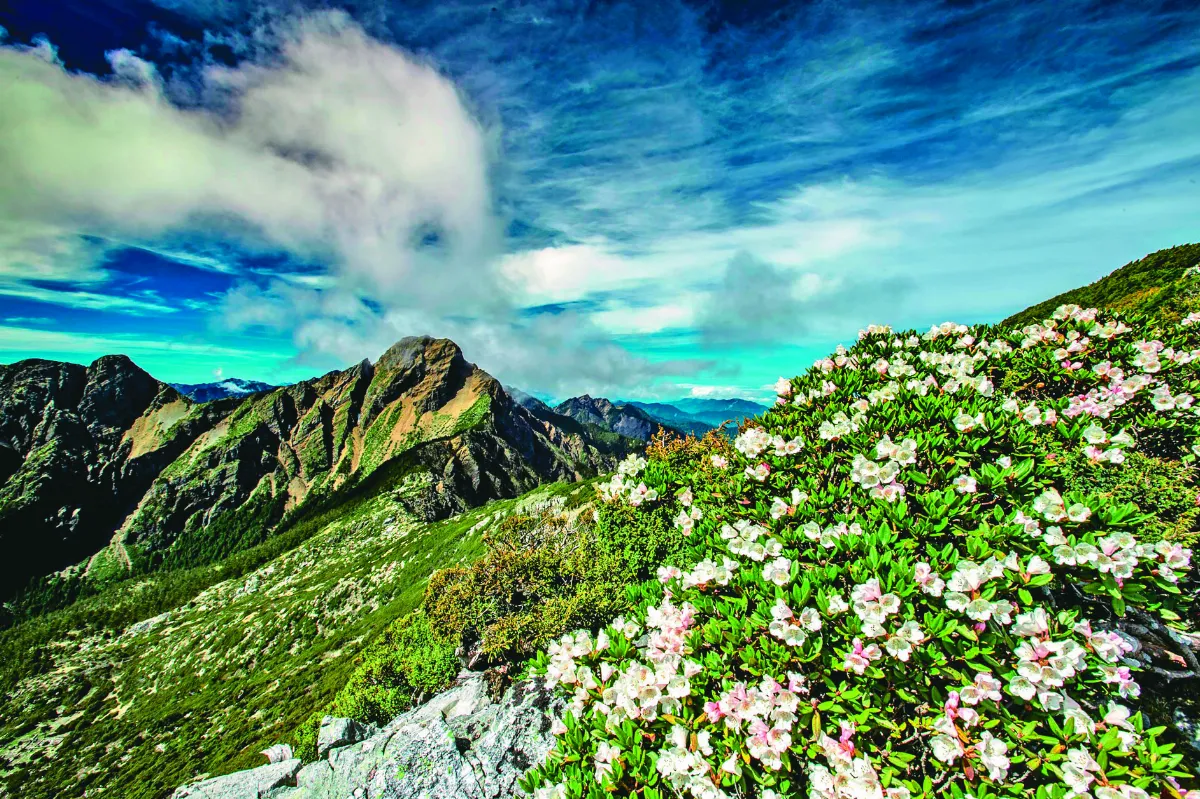 景點微解封 兩樣情 武陵客滿到10月 綠島蘭嶼掛零