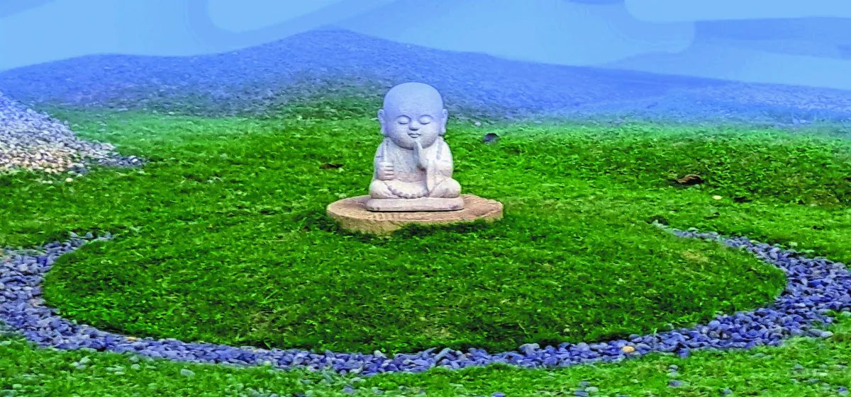 雲居晨悟 自我關照