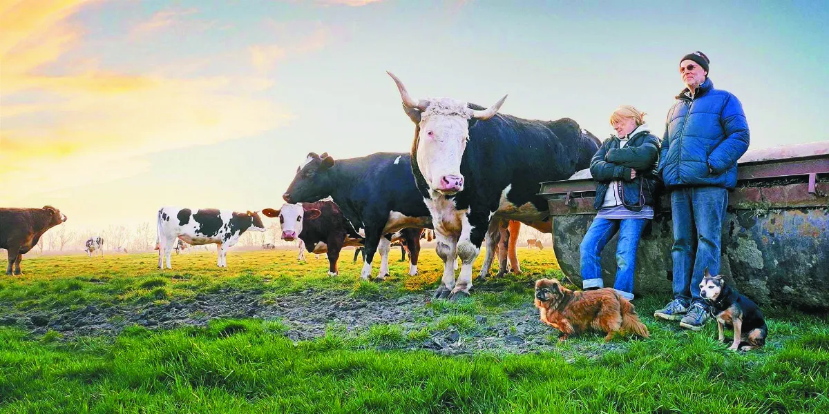 德牧場轉型  掀素食革命