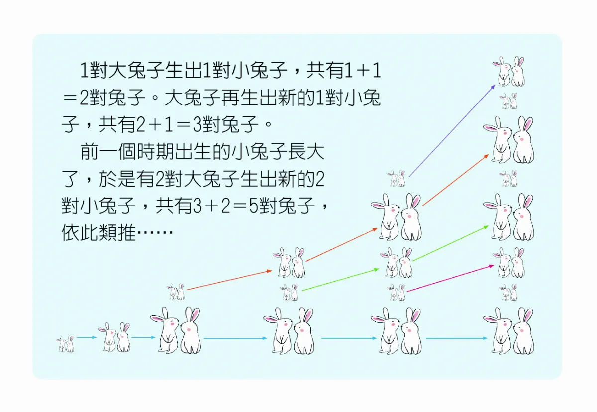 我家哪有這麼科學 鳳梨會算數？ 規律生長啟蒙新數列