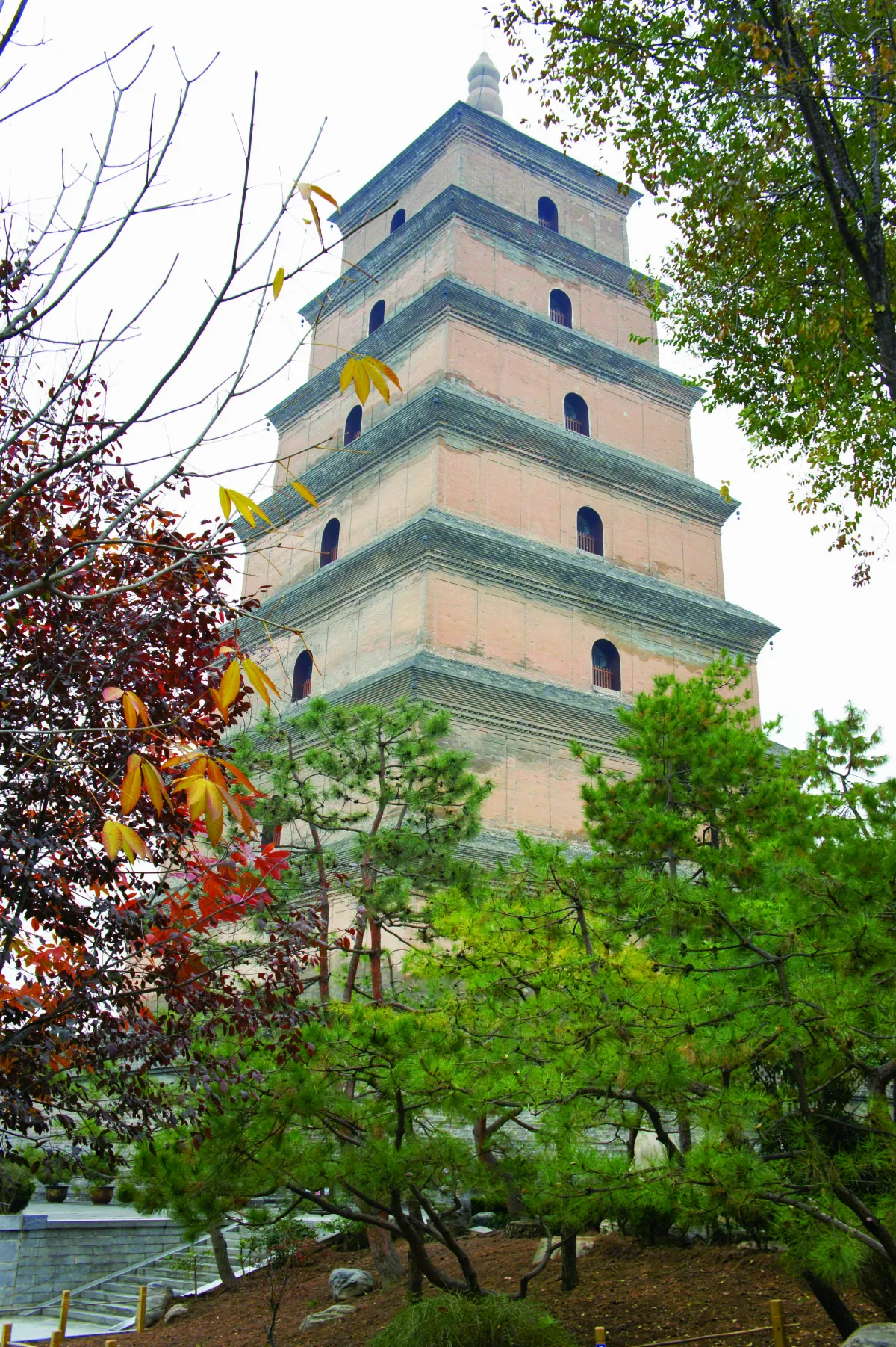 我行遲遲 溯光而行