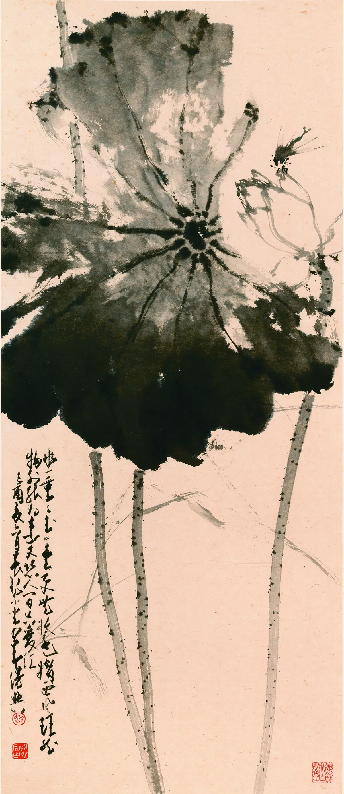 人間池塘——張大千、文人與荷花藝術大展 荷花