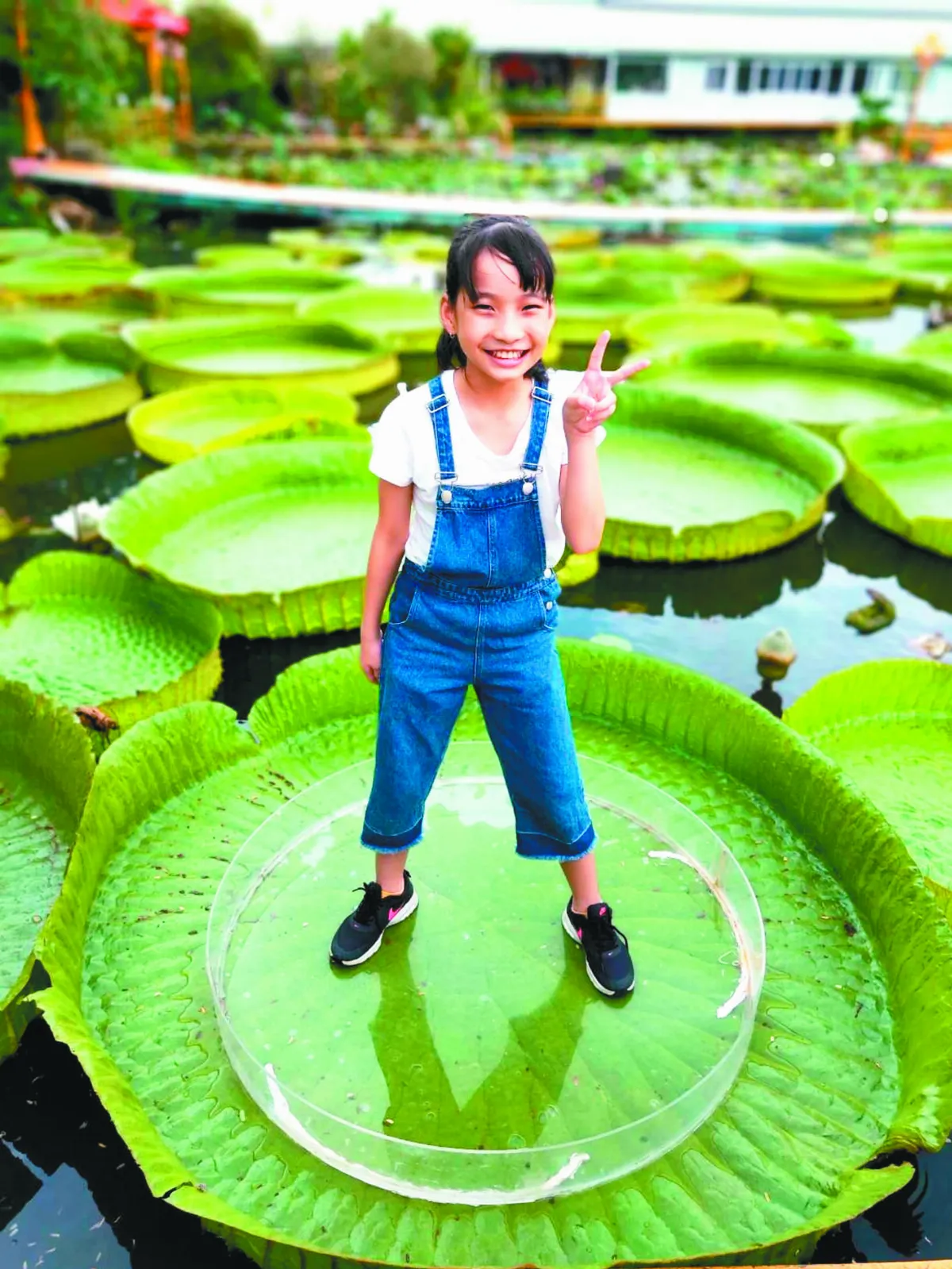 台南農業旅遊賽  疫後新商機