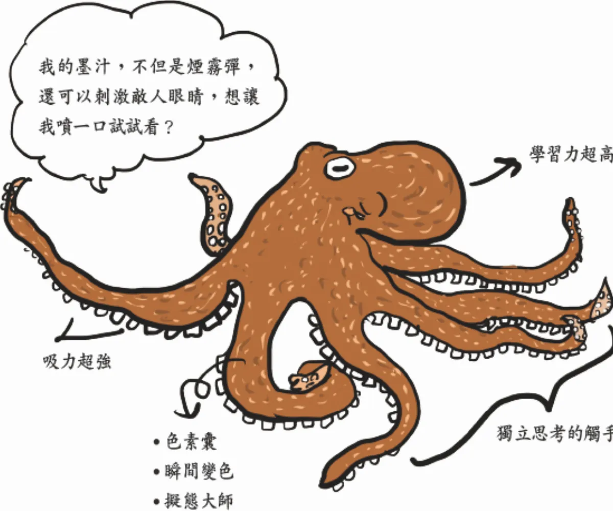 章魚哥有多聰明？