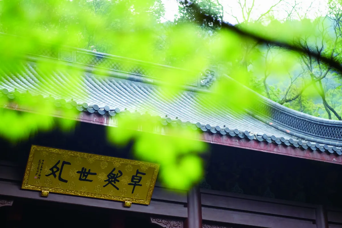 我行遲遲 無界之窗