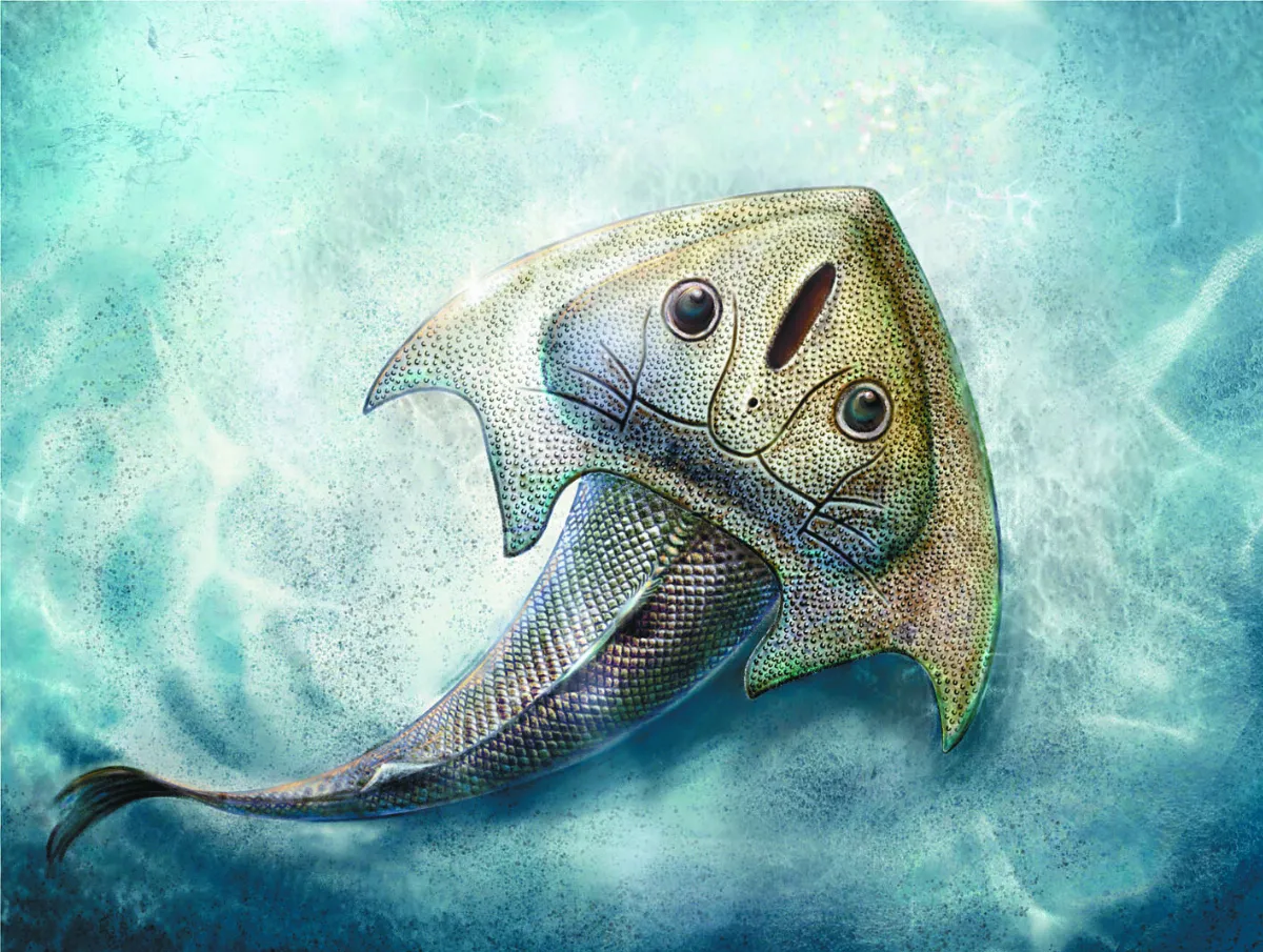 4.19億年前劉氏鐮角魚