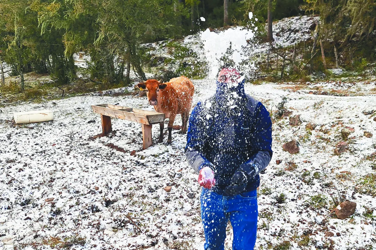 巴西下雪