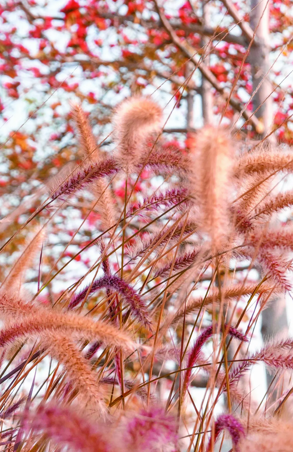 浮世畫框 吉祥