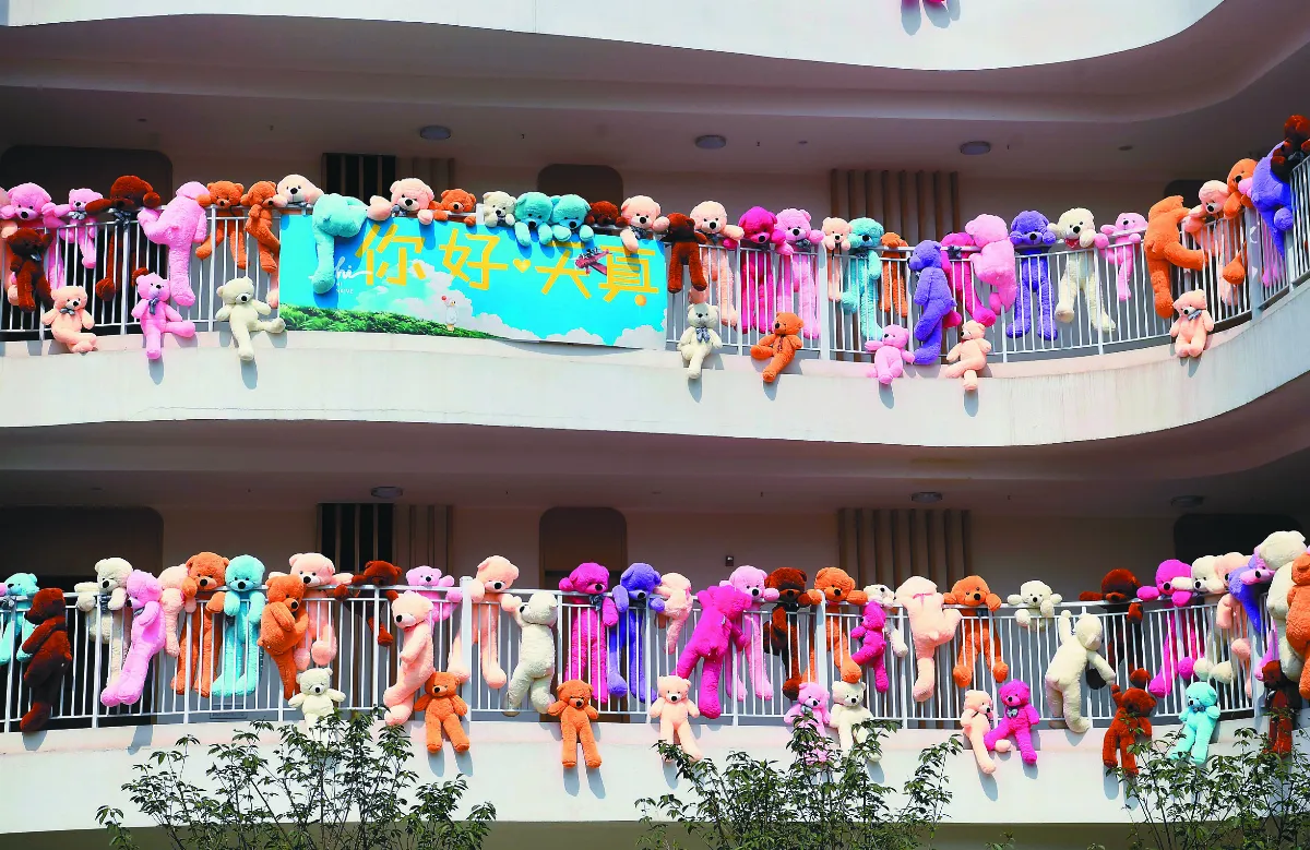 重慶布偶熊 天真爬欄杆