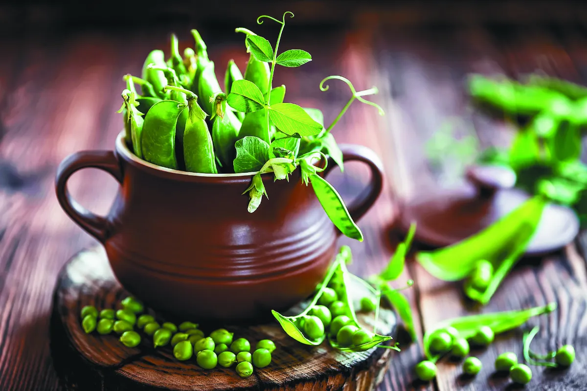 容易疲勞又常掉髮 恐怕是蛋白質不足