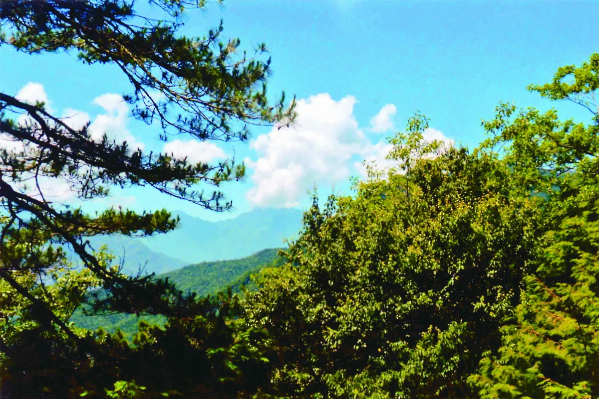 海闊天空 遊觀霧 不只是觀霧