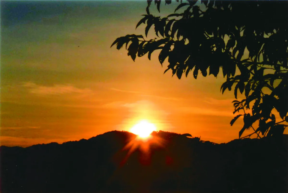 海闊天空 遊觀霧 不只是觀霧