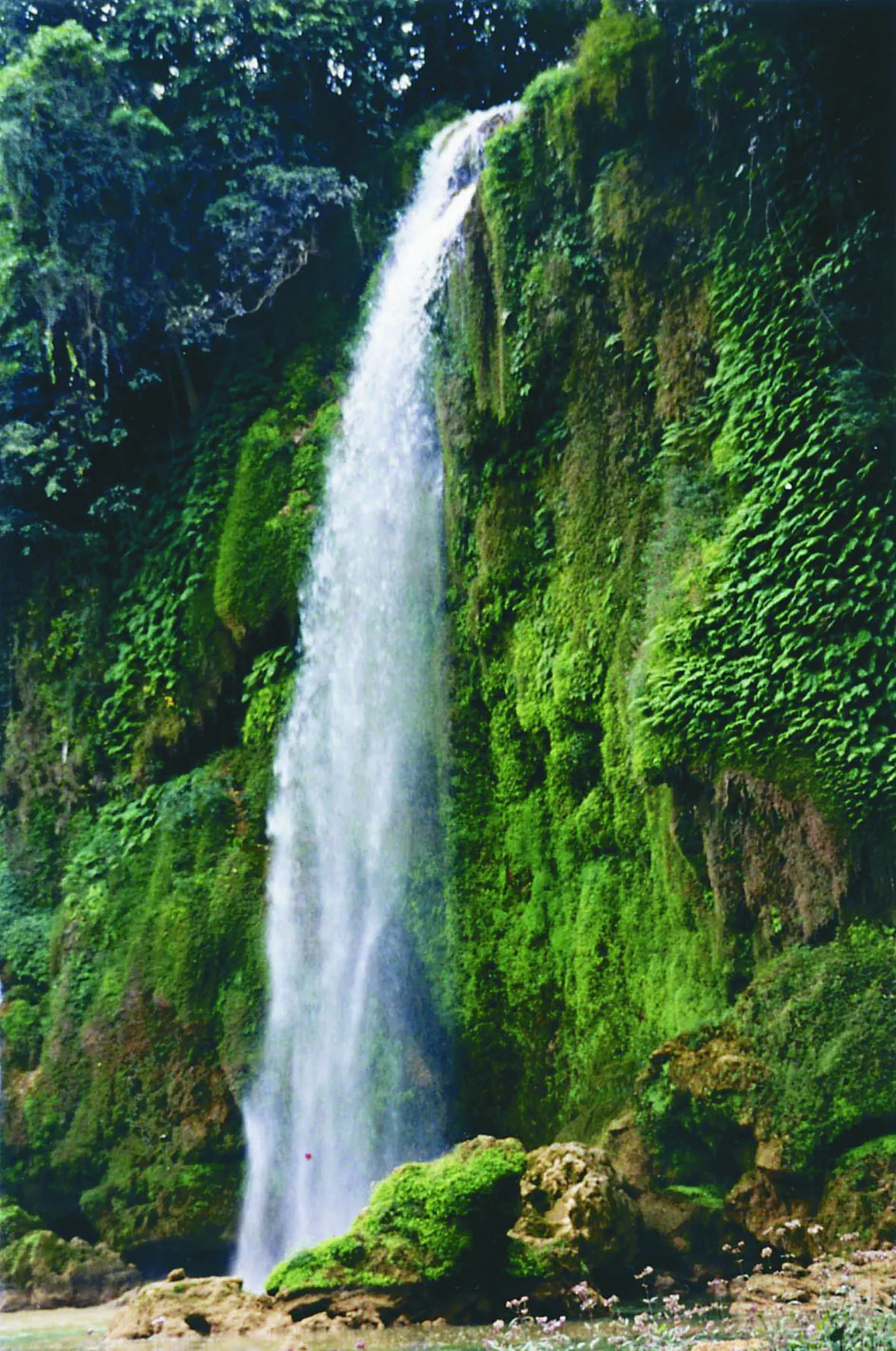 海闊天空 遊觀霧 不只是觀霧