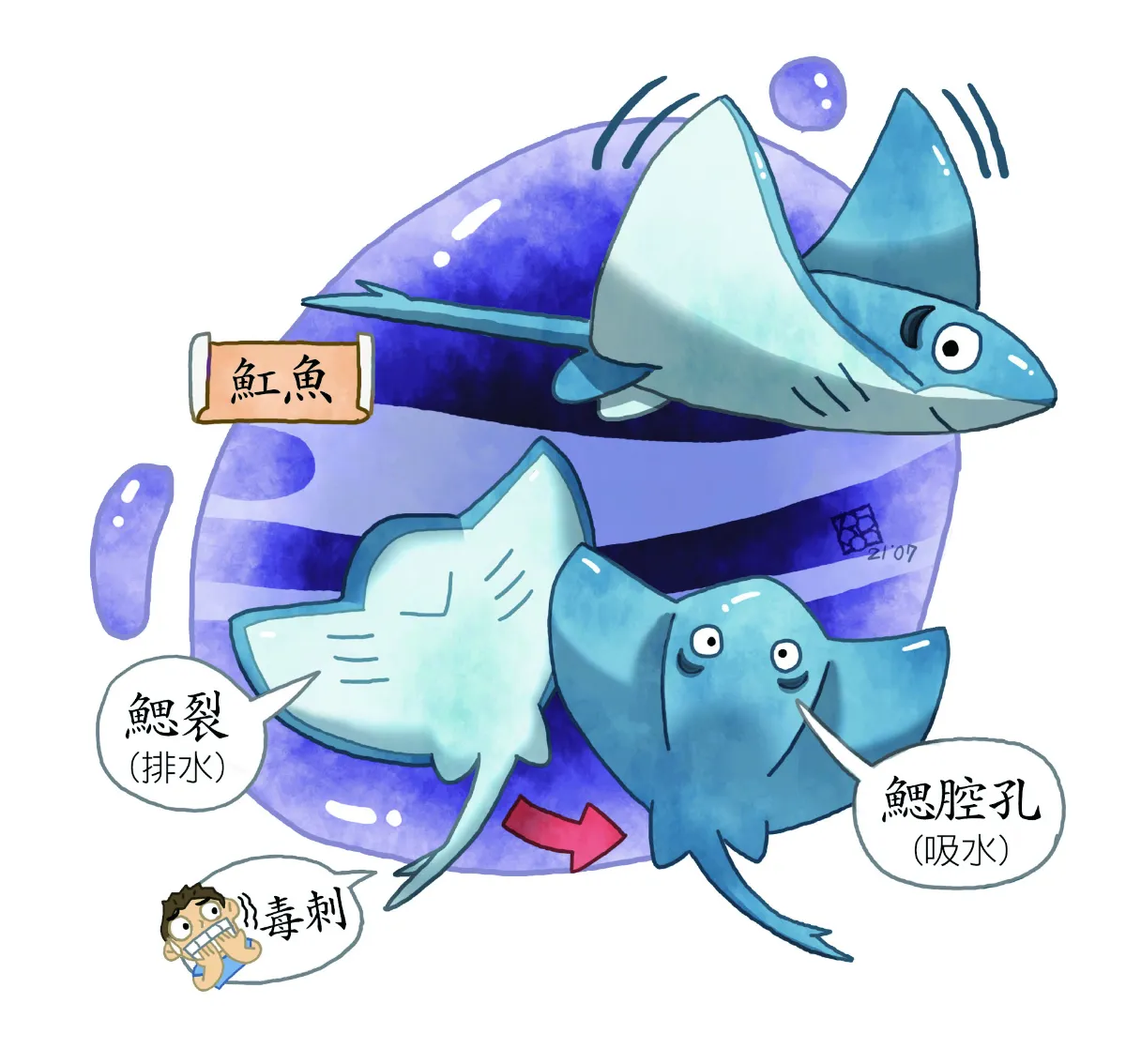 從古文認識 海洋生物