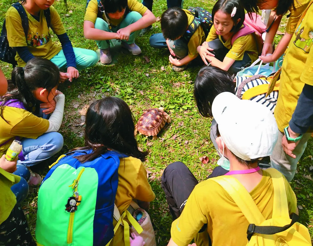 亞洲第一所 珍古德 擬在台北建永續實驗小學