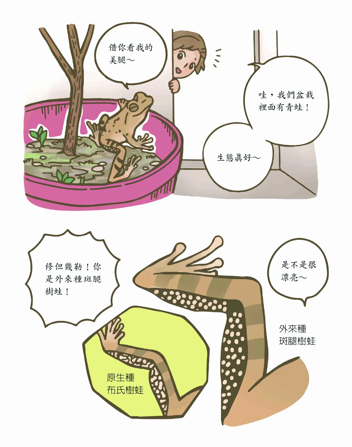 玉子手札 田尾種花 種出           ？