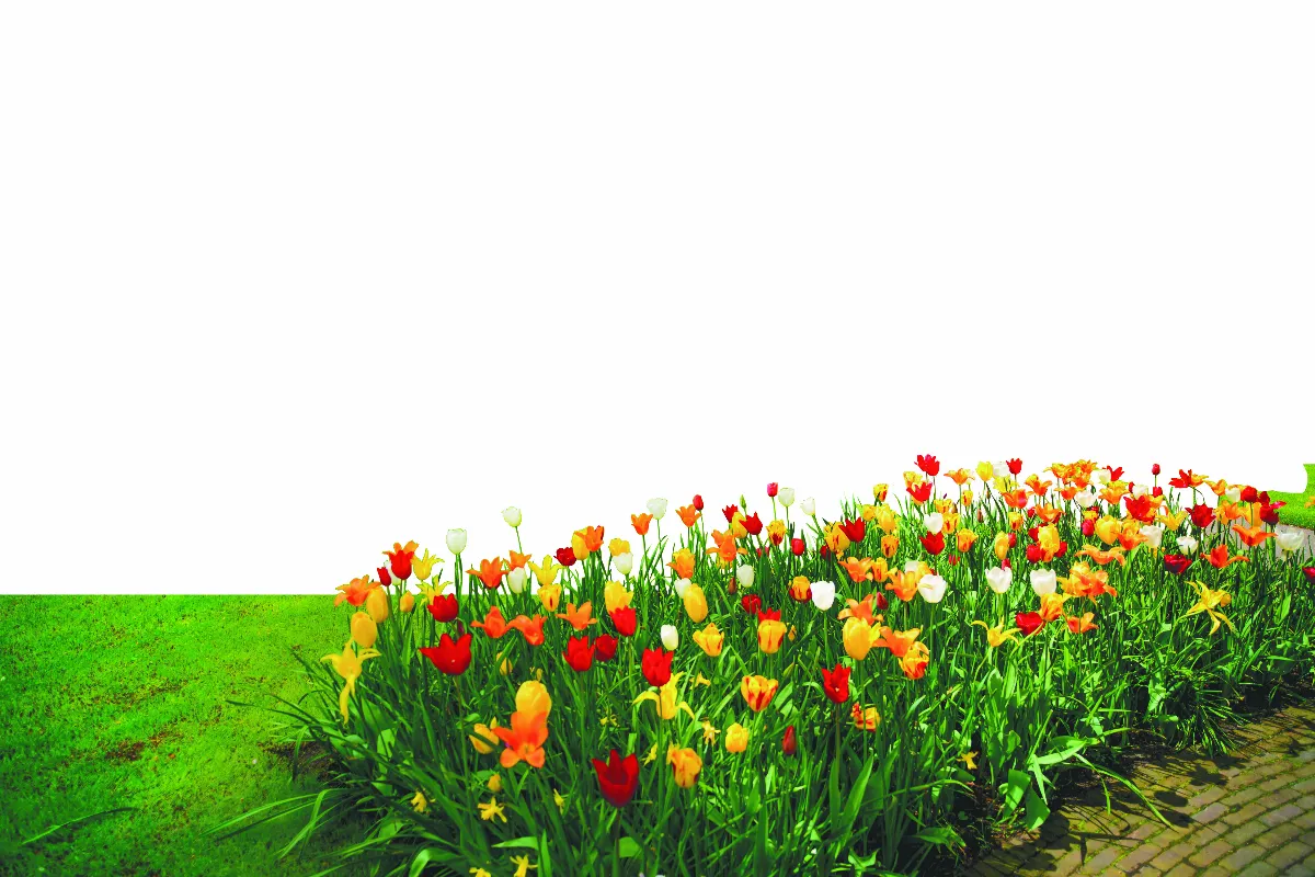 【法寶講座青年系列】 破繭而出