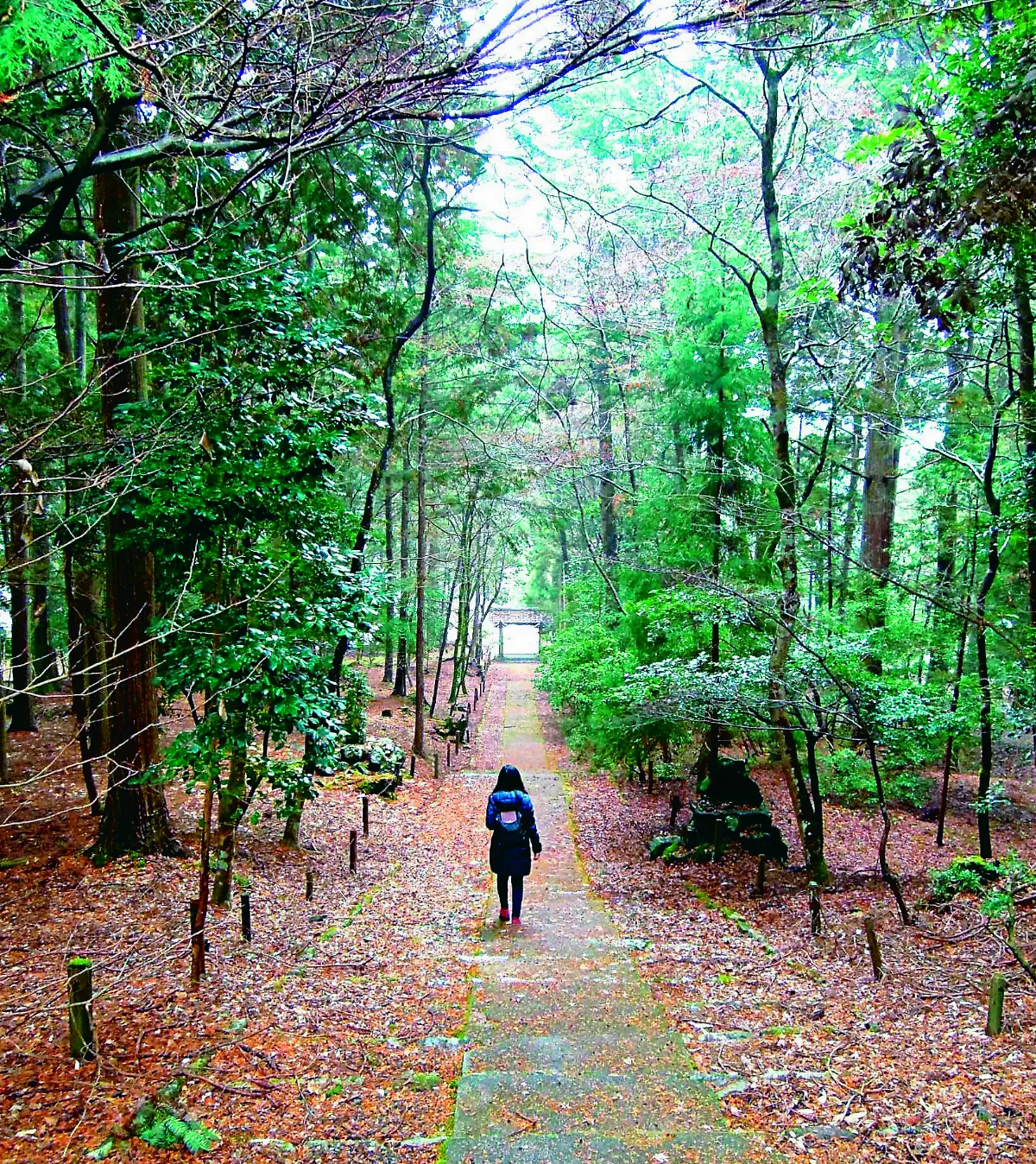 我行遲遲 一個人的旅行