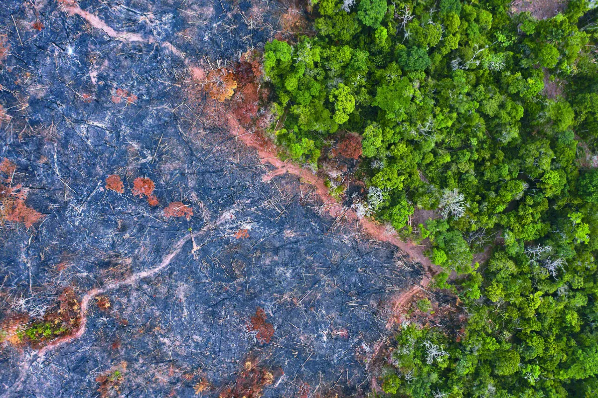 亞馬遜非法採礦 10年暴增5倍