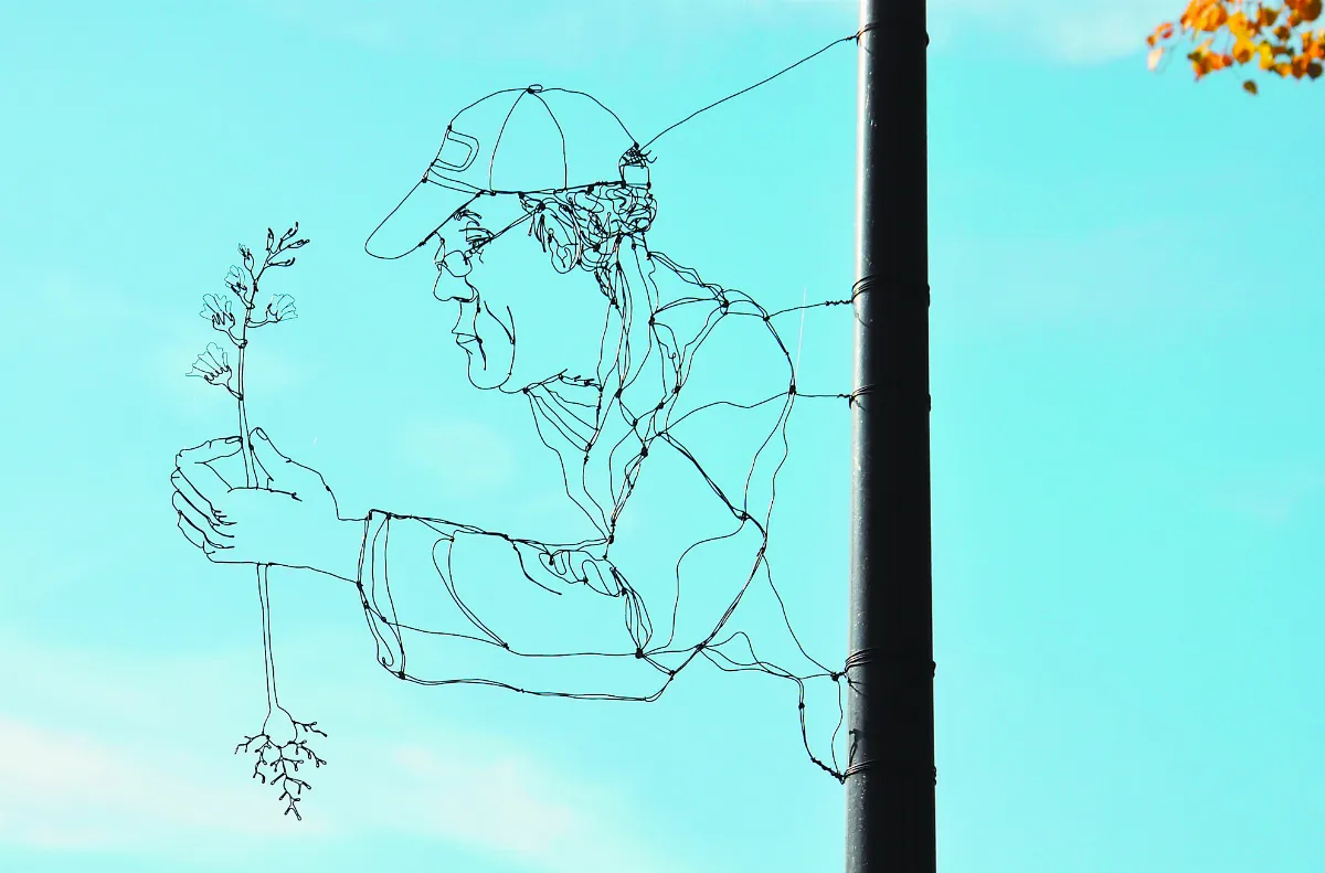 鐵絲錯位藝術  橋變巨大豎琴