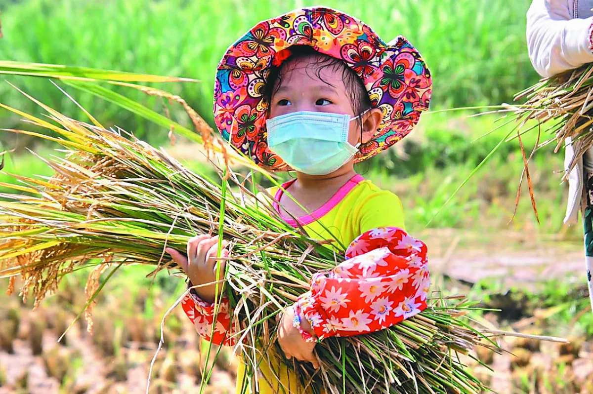 糧食供應鏈拉警報 全球鬧缺工  食品價格飆漲