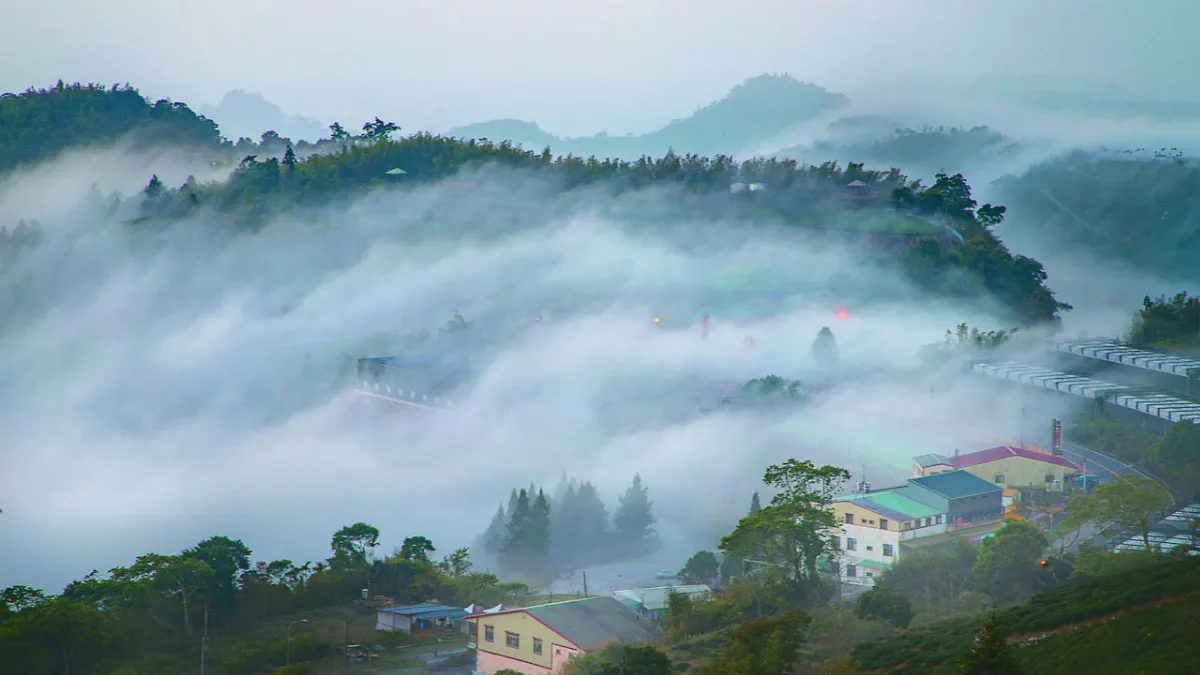台文詩 雲海