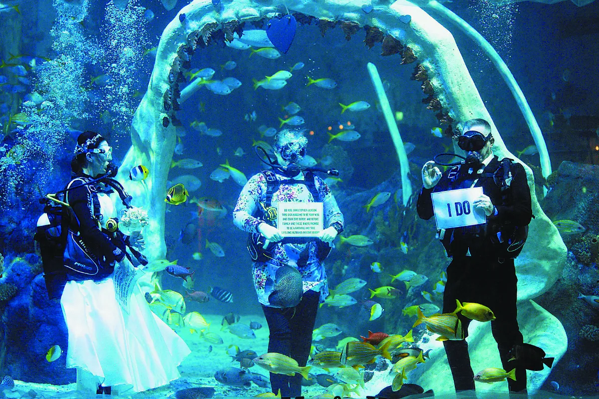水族箱婚禮