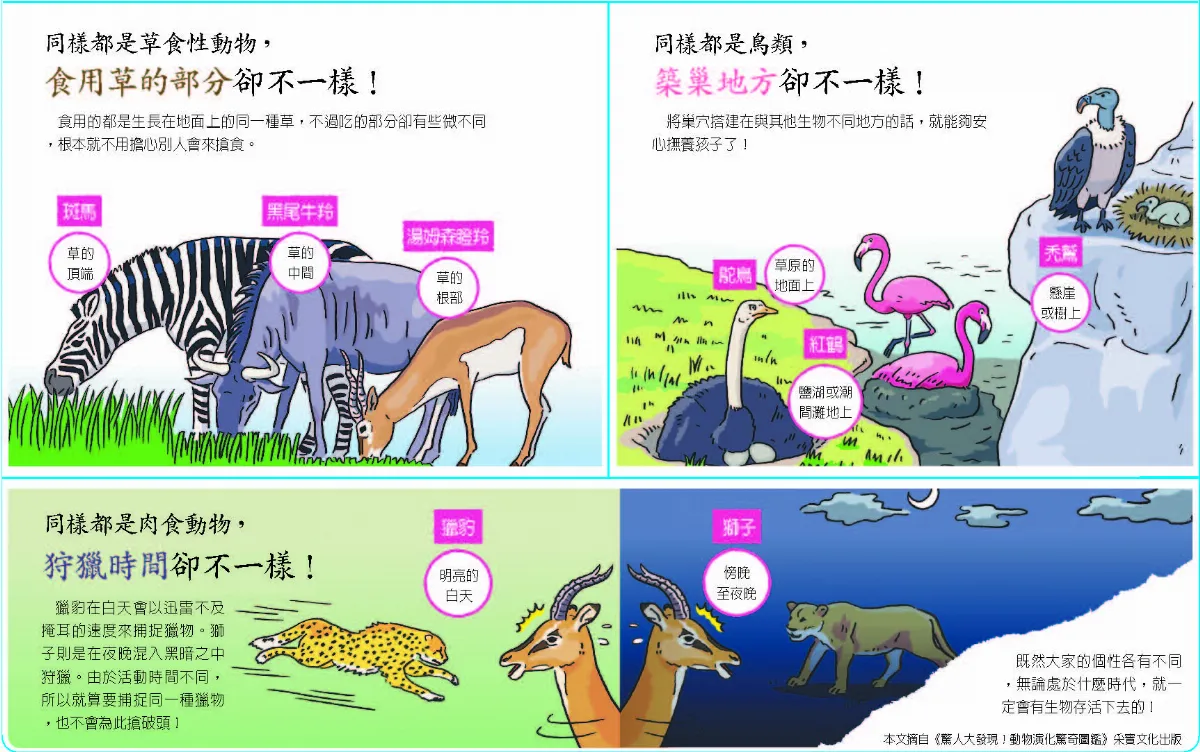 我們不一樣！動物間共存之道