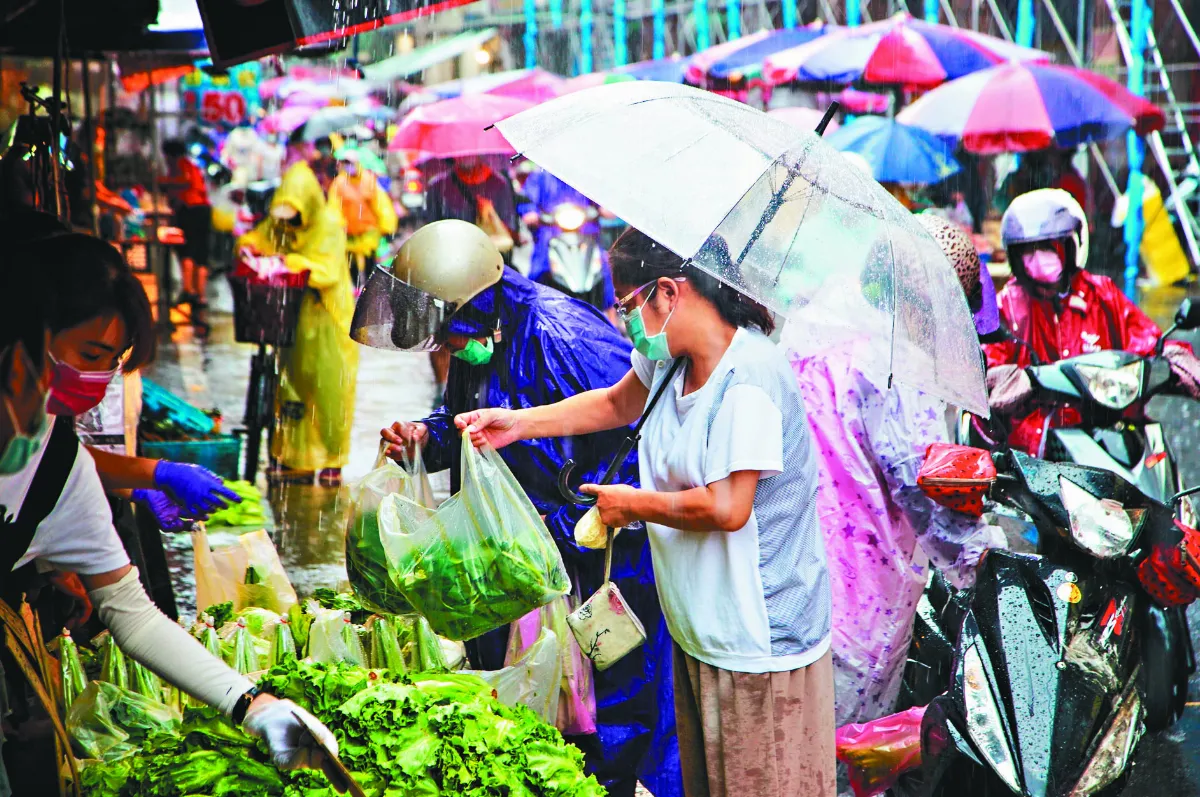菜價回跌  雨災後首見3字頭