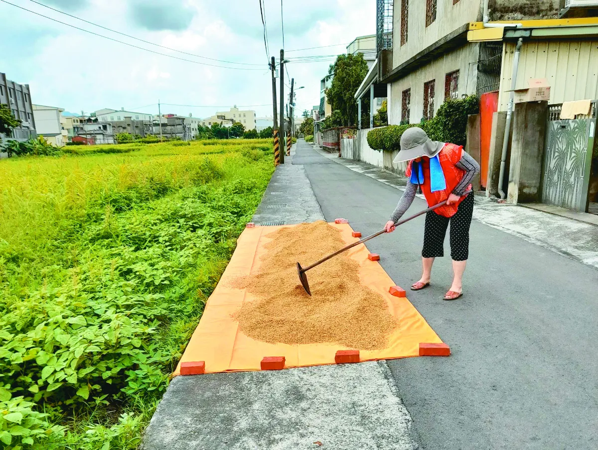 生活快門 陽光好滋味