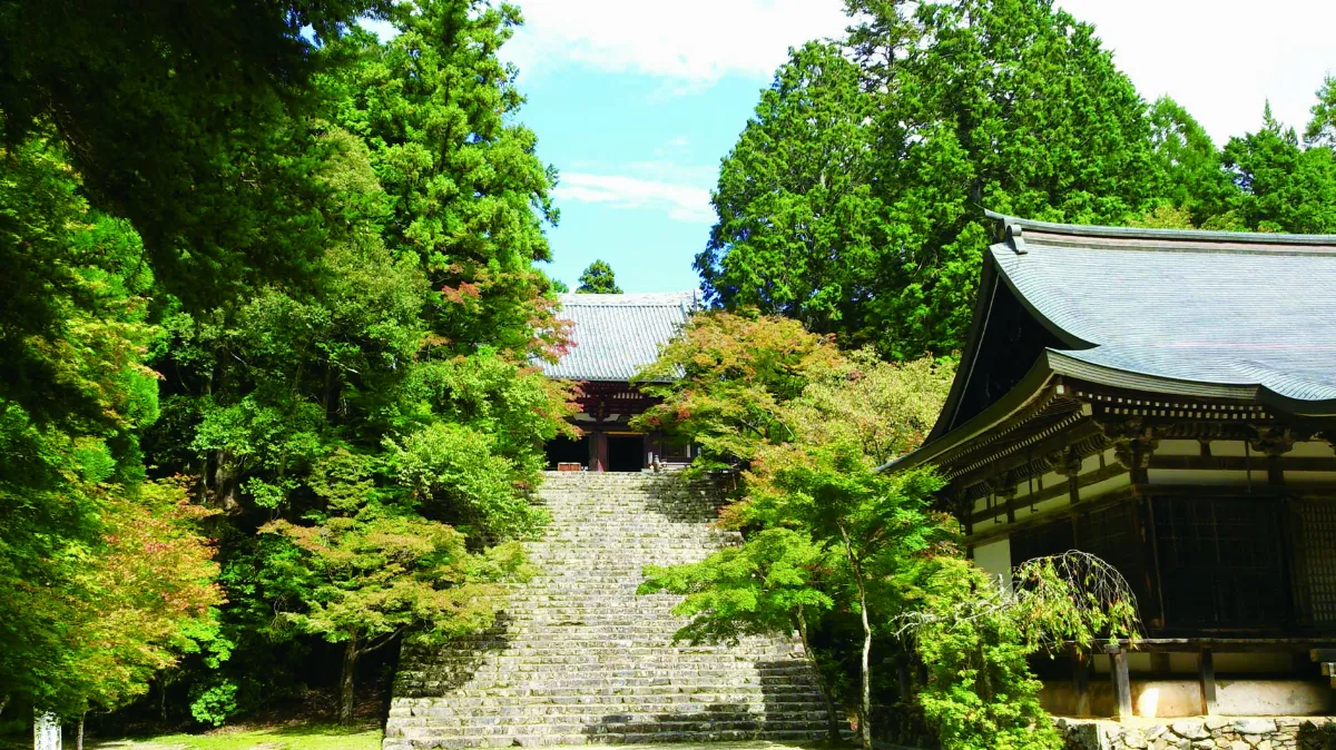 我行遲遲 山中歸來衣袖有天香