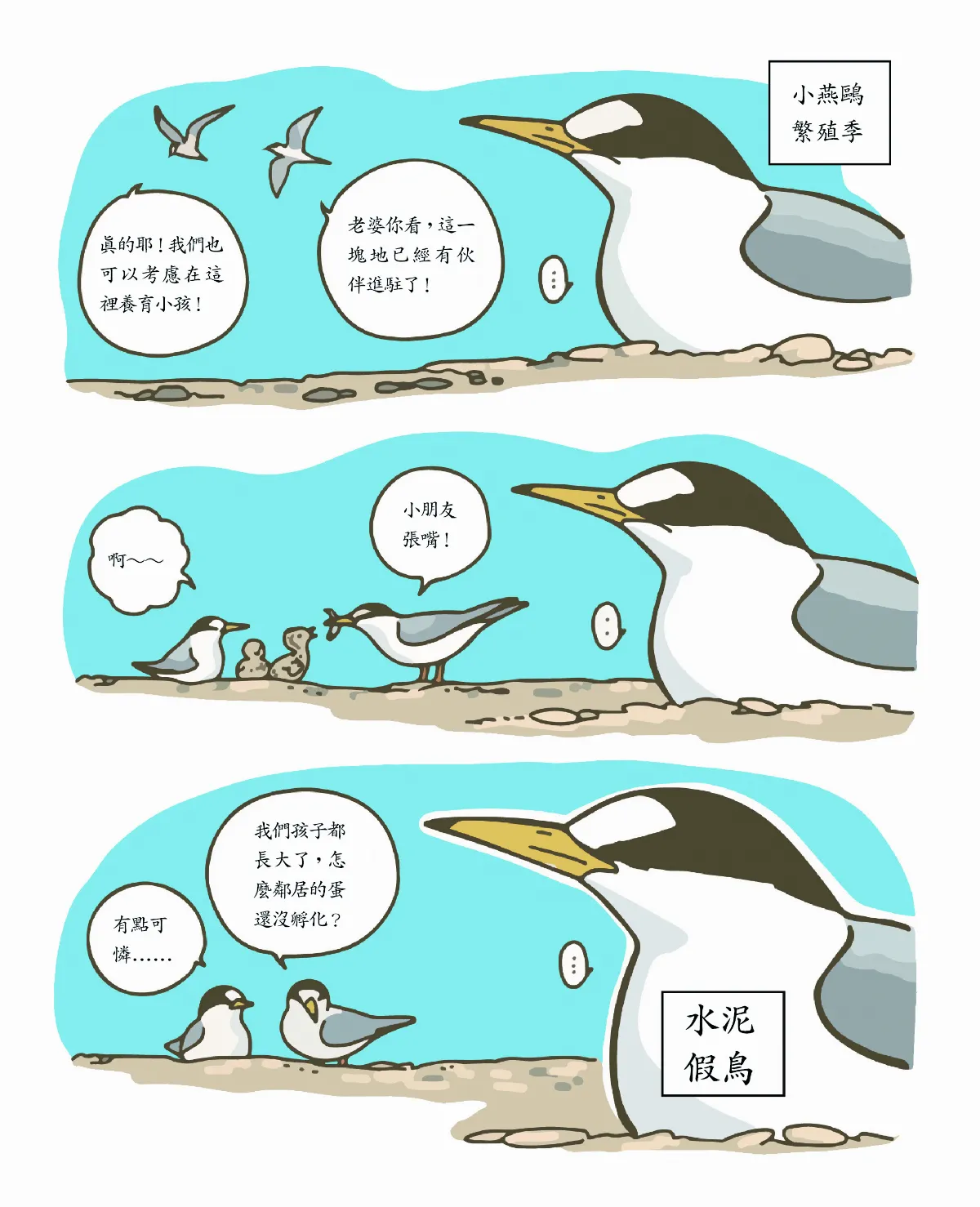玉子手札 小燕鷗 離你我最近的鷗