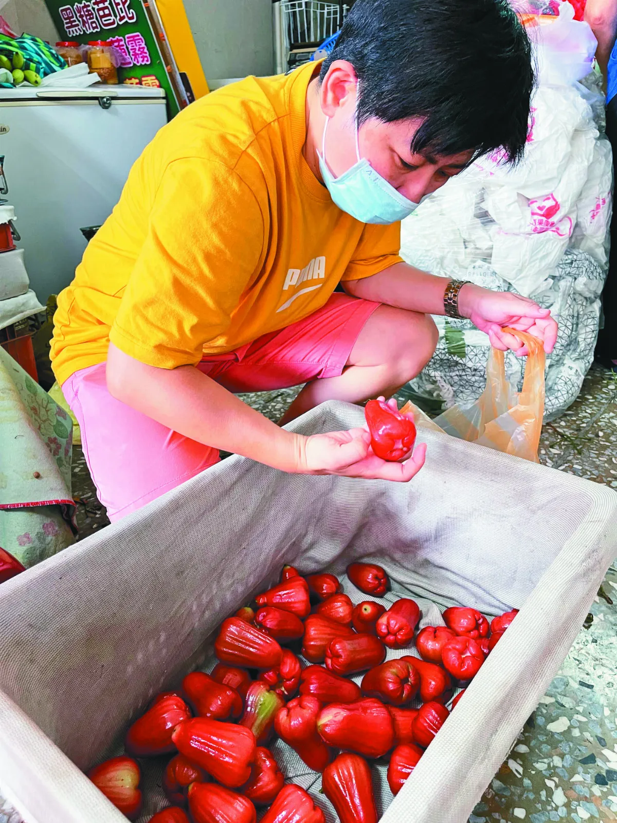 民眾力挺  六龜蓮霧訂單激增