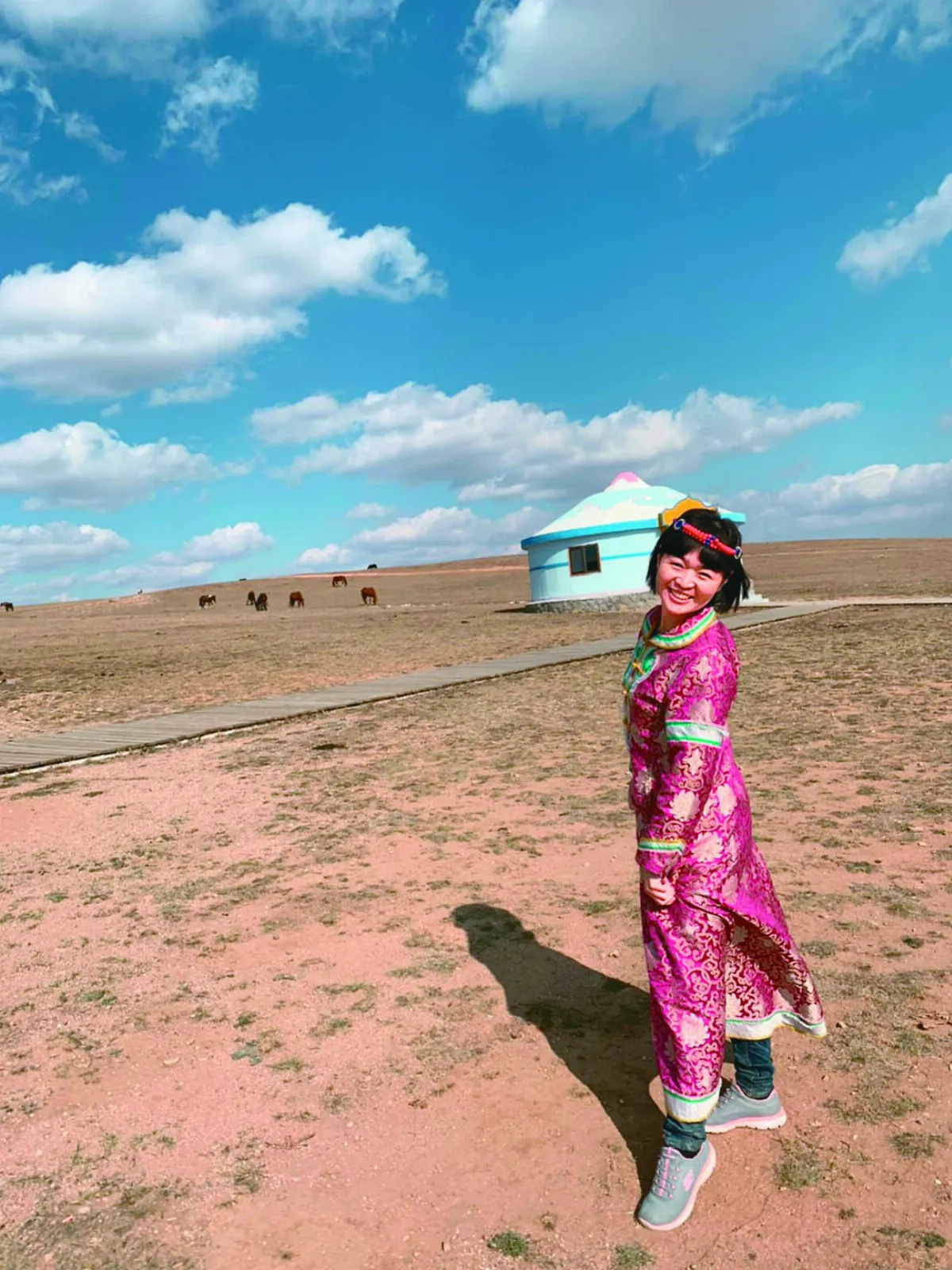 印象旅人 內蒙古的蒲公英