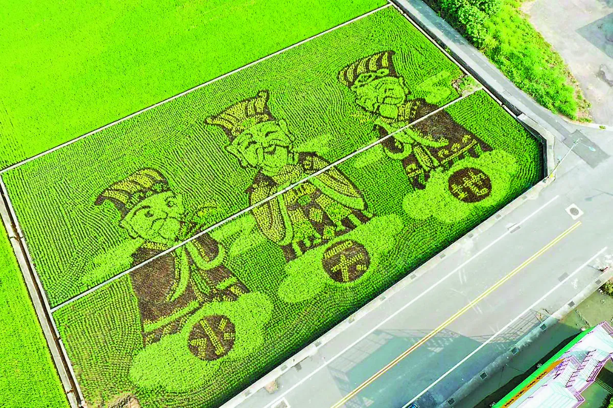 苑裡彩繪稻田 種出商機