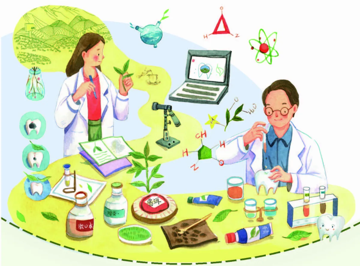 科學尬新聞 普洱茶防蛀牙
