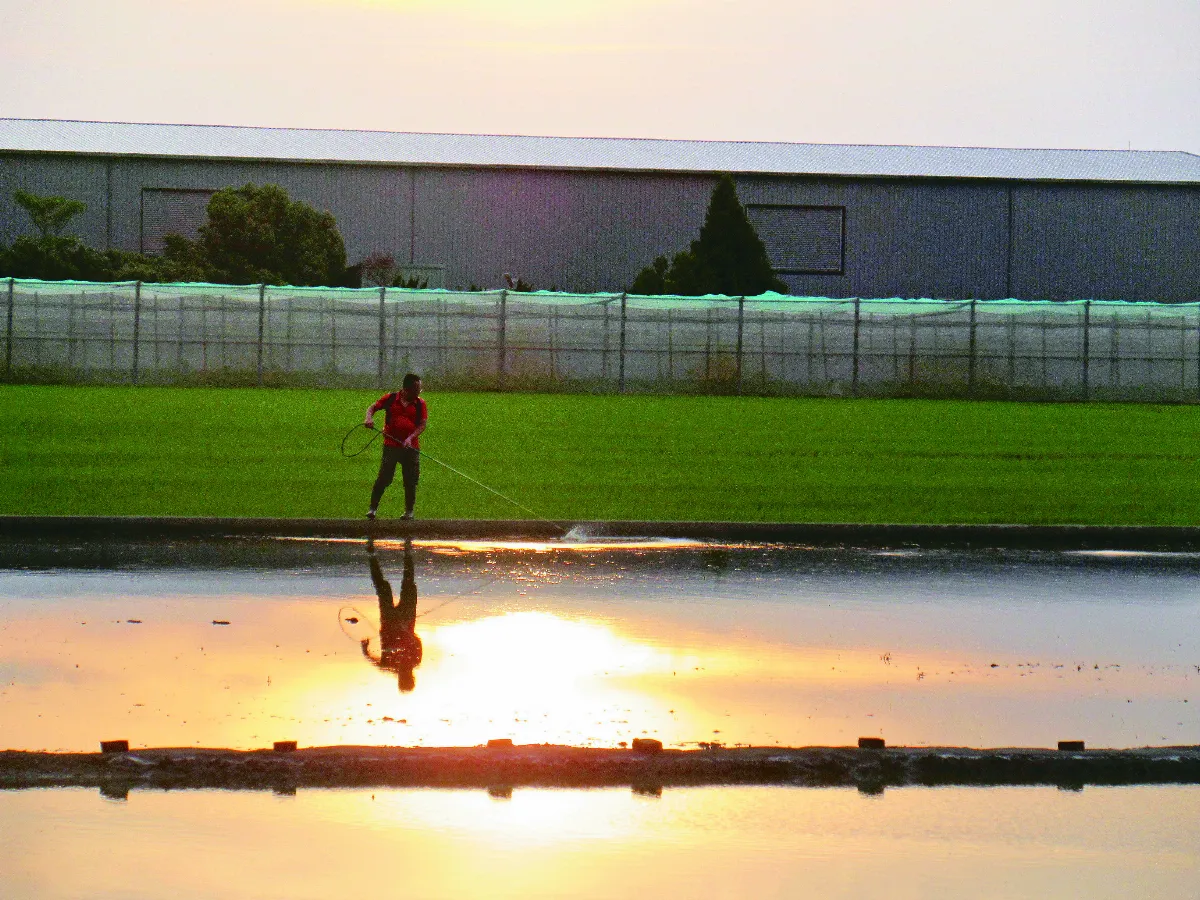 視覺DJ  夕照、晚霞、農夫
