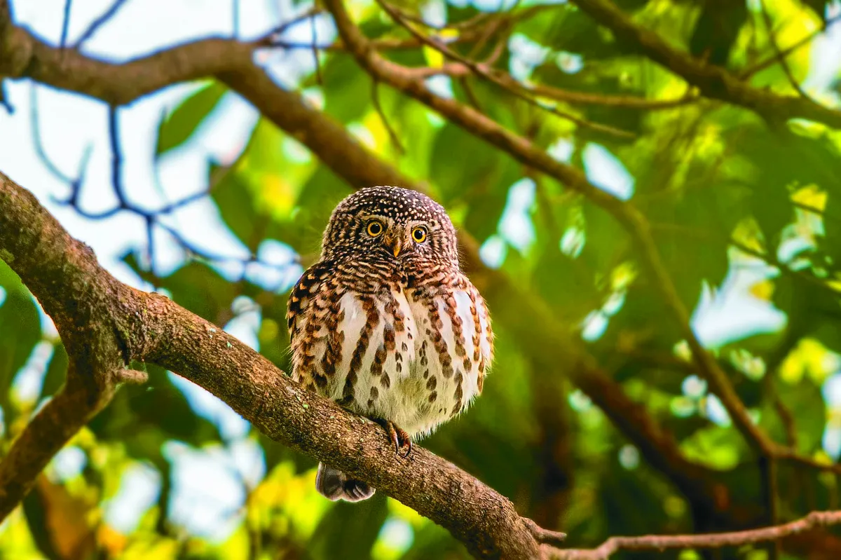 作品欣賞 影饗──用鏡頭記錄生命之美 王萬坤攝影展