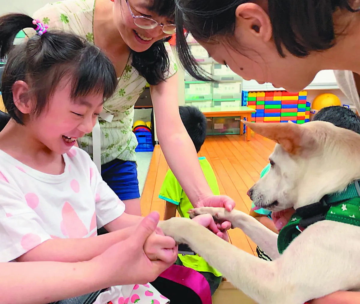 浪浪化身心輔犬 伴特殊族群成長
