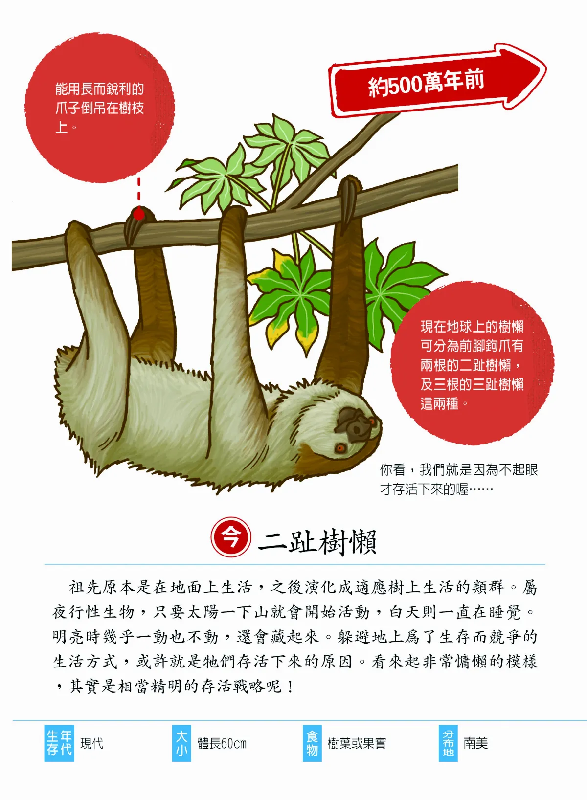 樹懶以前是肌肉男！