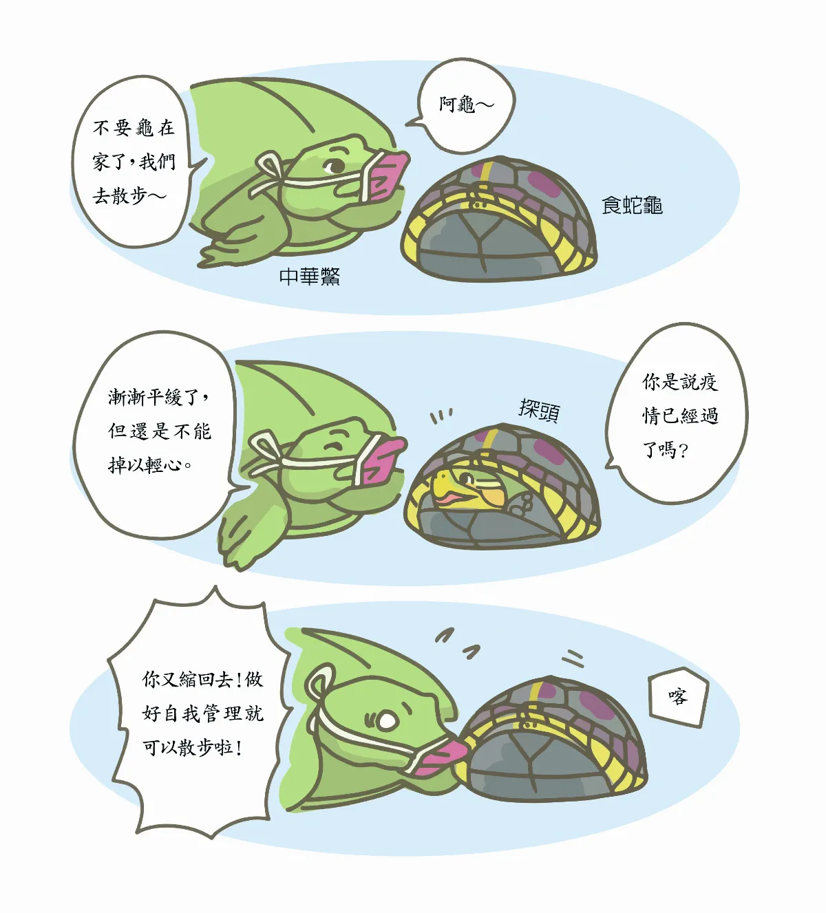 玉子手札 食蛇龜窩家裡不出門