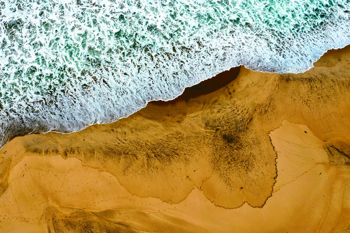 漏油釀生態浩劫