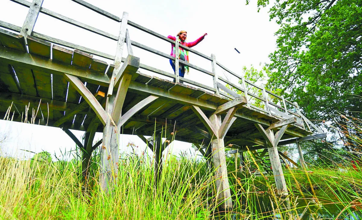 小熊維尼拋樹枝橋  修復將被拍賣